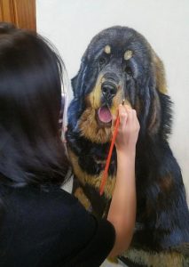 莊銀芬Tubi | 常駐導師 | 夢心藝術畫室