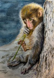 莊銀芬Tubi | 常駐導師 | 夢心藝術畫室